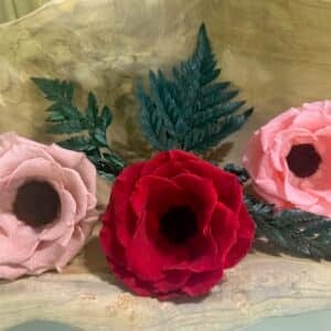 Anémone stabilisée