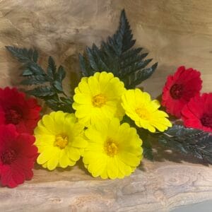 Calendula stabilisée