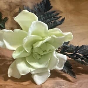 Gardénia stabilisée