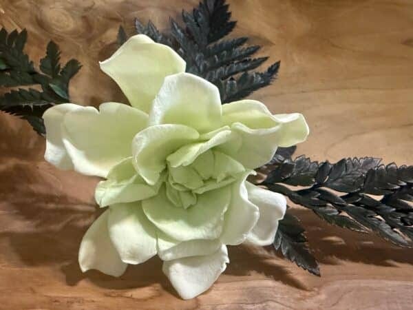 Gardénia stabilisée