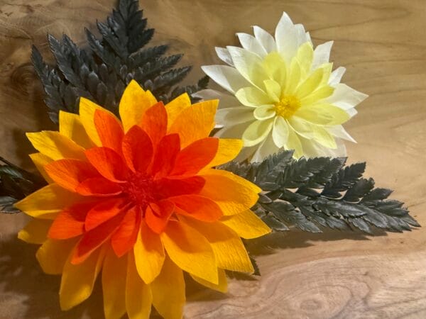 Dahlia stabilisée