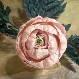 Renoncule stabilisé pastel