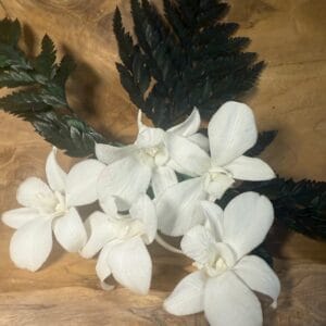 Orchidée stabilisée