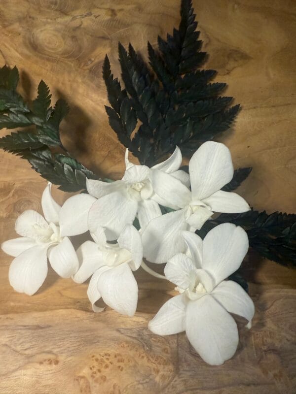 Orchidée stabilisée