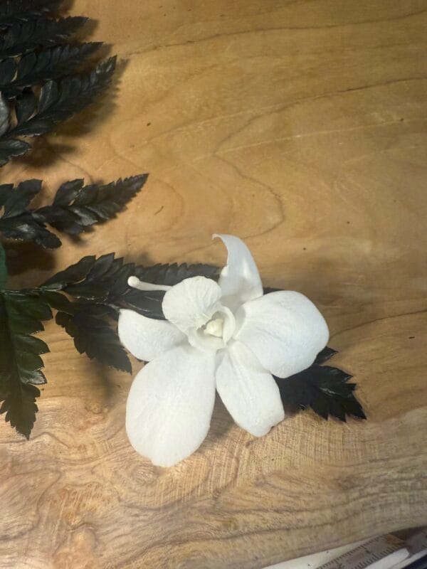 Orchidée stabilisée – Image 3