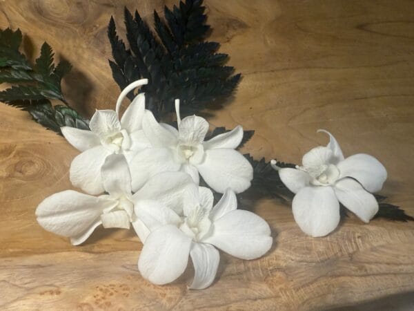 Orchidée stabilisée – Image 2