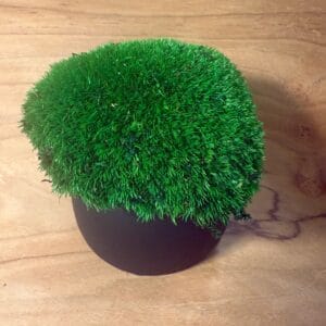 Mini mousse boule stabilisée