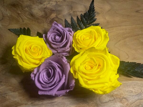 Rose stabilisée – Image 3