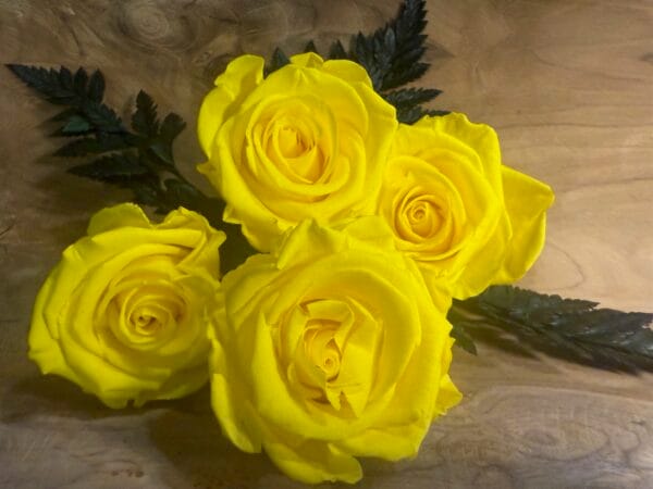 Rose stabilisée – Image 2