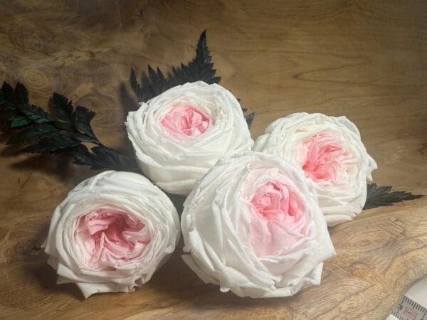Rose anglaise stabilisée