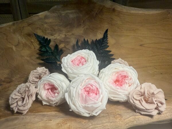 Rose anglaise stabilisée – Image 3