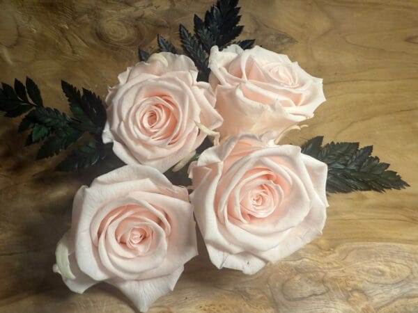 Rose stabilisée – Image 5