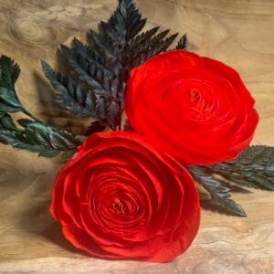 Renoncule stabilisé