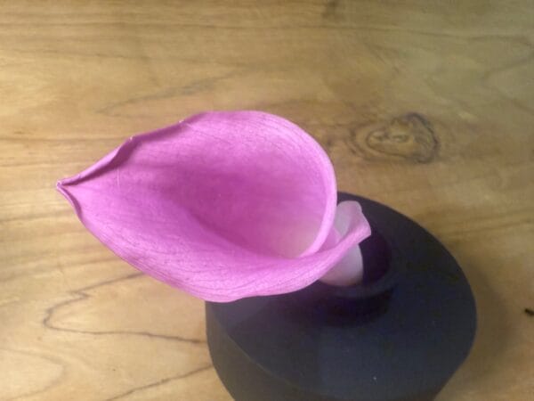 Calla stabilisé – Image 4