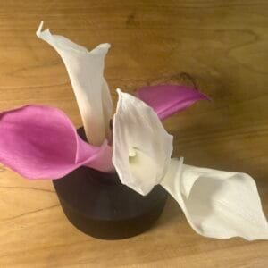 Calla stabilisé