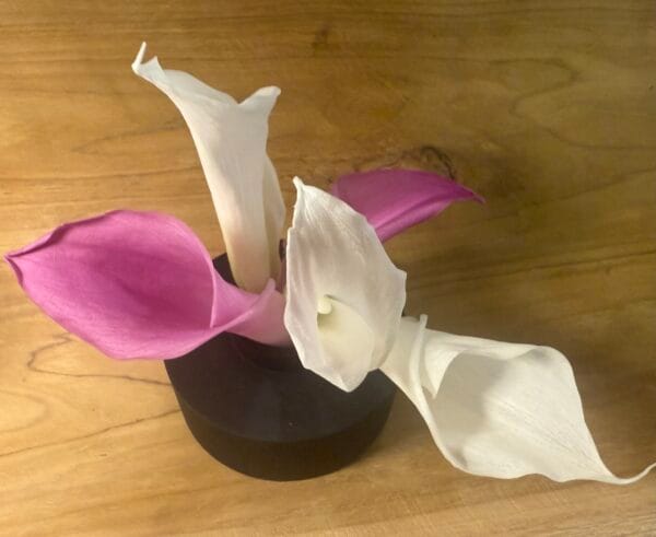 Calla stabilisé