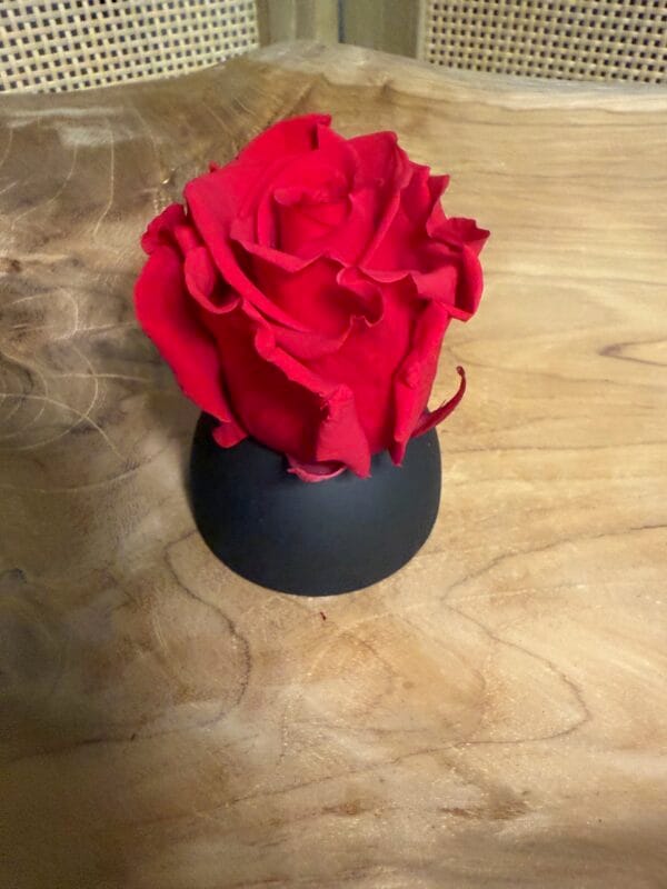 Rose stabilisée – Image 9