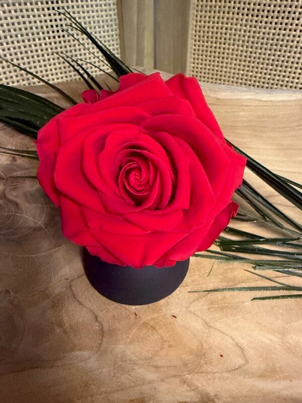 Rose stabilisée XL – Image 2