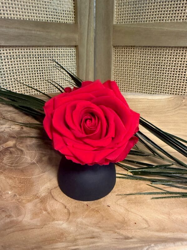 Rose stabilisée XL – Image 3