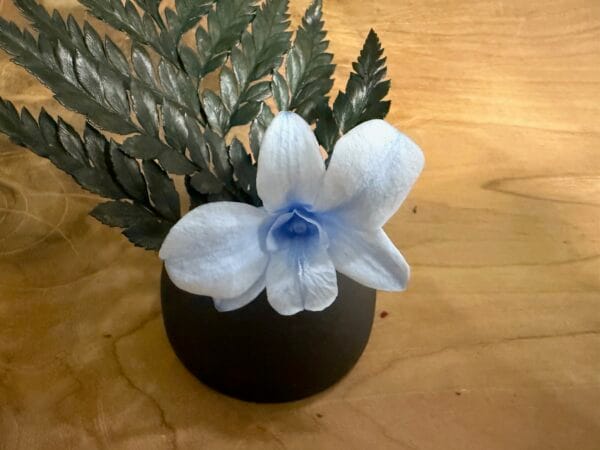Orchidée stabilisée – Image 7