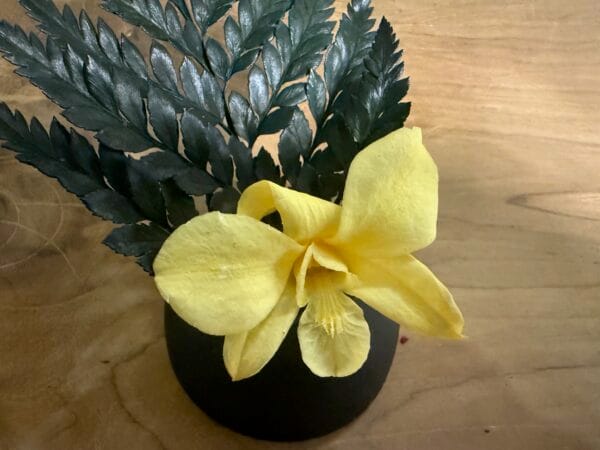 Orchidée stabilisée – Image 6