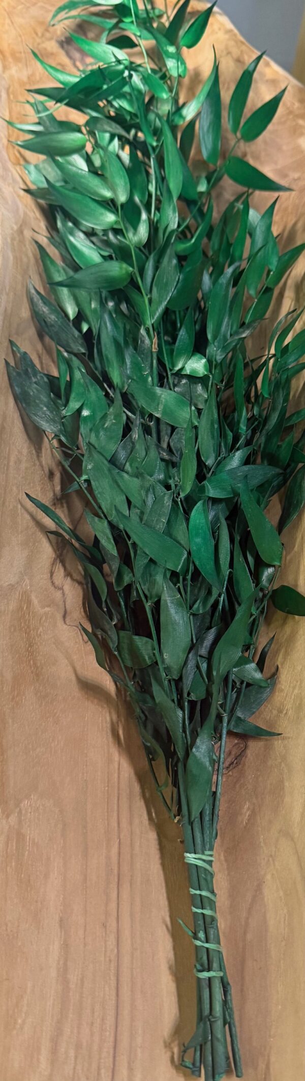Ruscus stabilisé – Image 4